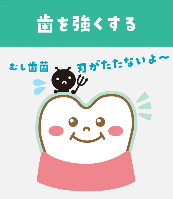 歯を強くする