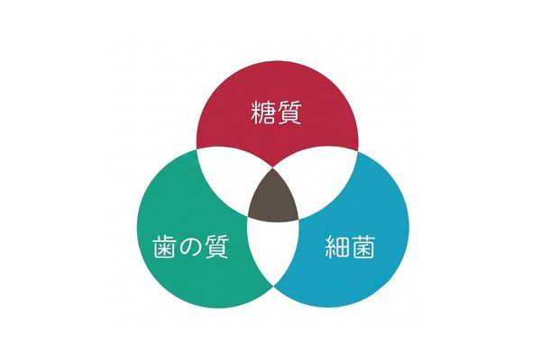 むし歯の仕組み
